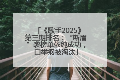《歌手2025》第三期排名：“断眉”袭榜单依纯成功，白举纲被淘汰