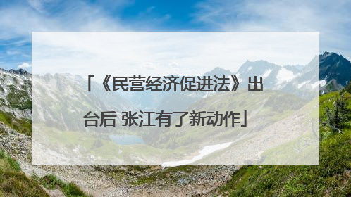 《民营经济促进法》出台后 张江有了新动作