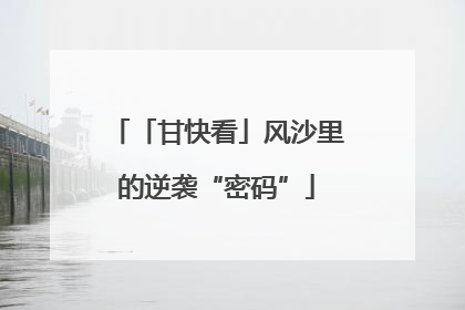 「甘快看」风沙里的逆袭“密码”