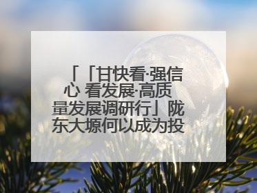 「甘快看·强信心 看发展·高质量发展调研行」陇东大塬何以成为投资热土