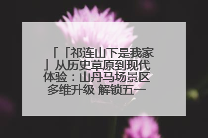 「祁连山下是我家」从历史草原到现代体验：山丹马场景区多维升级 解锁五一文旅新玩法