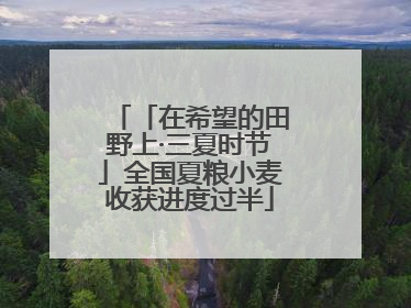 「在希望的田野上·三夏时节」全国夏粮小麦收获进度过半