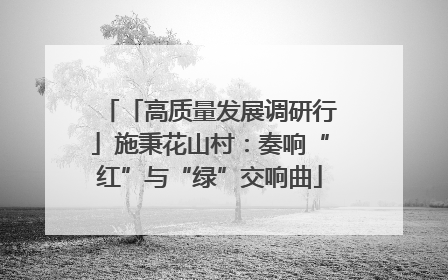 「高质量发展调研行」施秉花山村：奏响“红”与“绿”交响曲