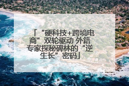 “硬科技+跨境电商”双轮驱动 外籍专家探秘碑林的“逆生长”密码