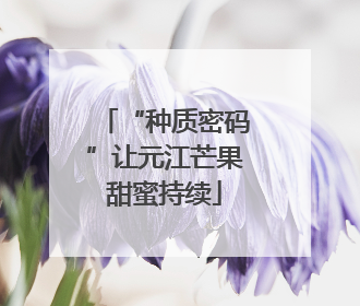 “种质密码”让元江芒果甜蜜持续