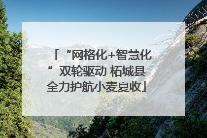 “网格化+智慧化”双轮驱动 柘城县全力护航小麦夏收