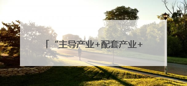 “主导产业+配套产业+衍生产业” 镇域经济创新发展释放强劲发展动能