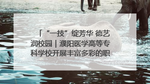 “一技”绽芳华 德艺润校园｜濮阳医学高等专科学校开展丰富多彩的职业教育活动周主题活动