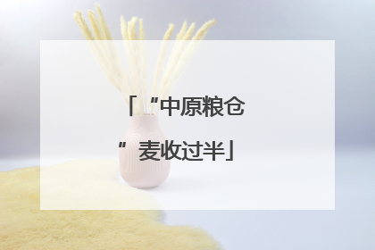“中原粮仓”麦收过半