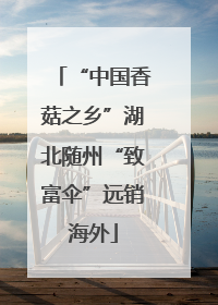 “中国香菇之乡”湖北随州“致富伞”远销海外