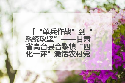 “单兵作战”到“系统攻坚”——甘肃省高台县合黎镇“四化一评”激活农村党员管理新引擎
