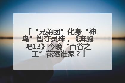 “兄弟团”化身“神鸟”智夺灵珠，《奔跑吧13》今晚“百谷之王”花落谁家？