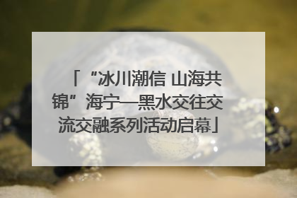 “冰川潮信 山海共锦”海宁—黑水交往交流交融系列活动启幕