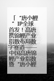 “唐小鲤”IP全球首发！高唐携锦鲤产业指数布局数字赛道——中国高唐锦鲤产业指数暨“唐小鲤”IP全球首发仪式在杭州举行