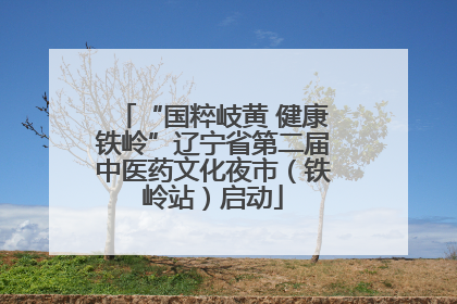 “国粹岐黄 健康铁岭”辽宁省第二届中医药文化夜市（铁岭站）启动