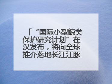 “国际小型鲸类保护研究计划”在汉发布，将向全球推介落地长江江豚保护经验