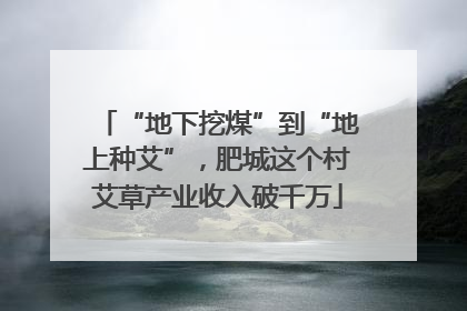 “地下挖煤”到“地上种艾”，肥城这个村艾草产业收入破千万