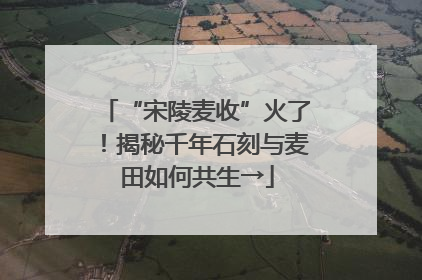 “宋陵麦收”火了！揭秘千年石刻与麦田如何共生→
