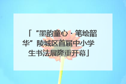 “墨韵童心・笔绘韶华”陵城区首届中小学生书法展隆重开幕