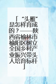 “头雁”是怎样育成的？——陕西省榆林市榆阳区树立全国乡村产业振兴带头人培育标杆