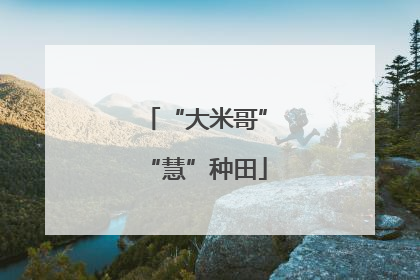 “大米哥”“慧”种田