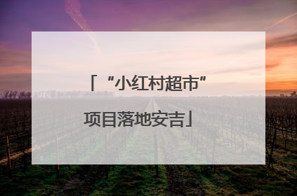 “小红村超市”项目落地安吉