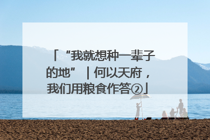 “我就想种一辈子的地”｜何以天府，我们用粮食作答②