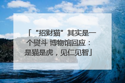 “招财猫”其实是一个熨斗 博物馆回应：是猫是虎，见仁见智