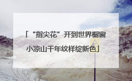 “指尖花”开到世界橱窗 小凉山千年纹样绽新色