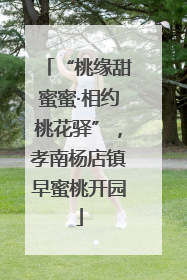 “桃缘甜蜜蜜·相约桃花驿”，孝南杨店镇早蜜桃开园