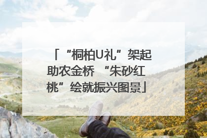 “桐柏U礼”架起助农金桥 “朱砂红桃”绘就振兴图景