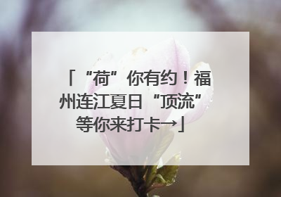“荷”你有约！福州连江夏日“顶流”等你来打卡→