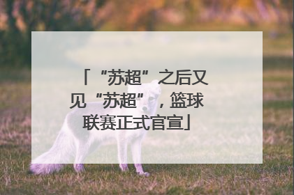 “苏超”之后又见“苏超”，篮球联赛正式官宣