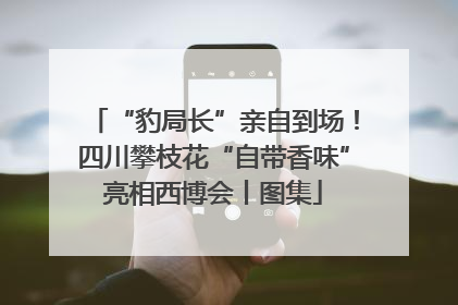 “豹局长”亲自到场！四川攀枝花“自带香味”亮相西博会丨图集