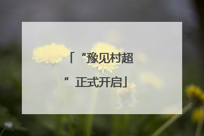 “豫见村超”正式开启