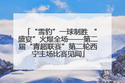 “雪豹”一球制胜 “盛宴”火爆全场——第二届“青超联赛”第二轮西宁主场比赛见闻