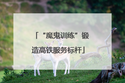 “魔鬼训练”锻造高铁服务标杆