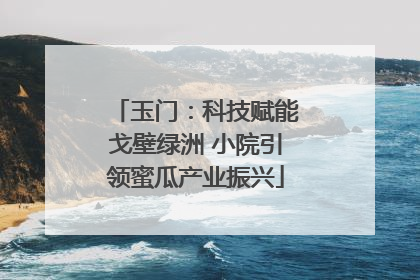 玉门：科技赋能戈壁绿洲 小院引领蜜瓜产业振兴