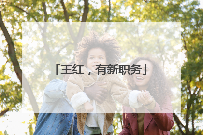 王红，有新职务