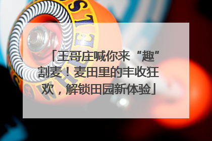 王哥庄喊你来“趣”割麦！麦田里的丰收狂欢，解锁田园新体验