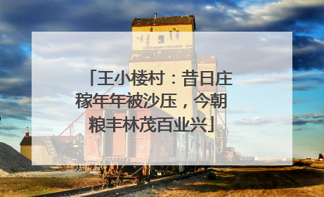 王小楼村：昔日庄稼年年被沙压，今朝粮丰林茂百业兴