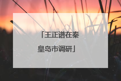 王正谱在秦皇岛市调研