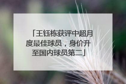 王钰栋获评中超月度最佳球员，身价升至国内球员第二