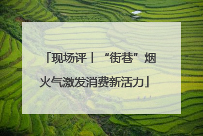 现场评丨“街巷”烟火气激发消费新活力
