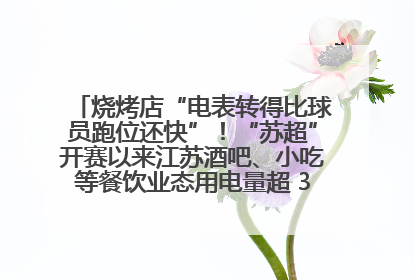 烧烤店“电表转得比球员跑位还快”！“苏超”开赛以来江苏酒吧、小吃等餐饮业态用电量超 3.5 亿千瓦时