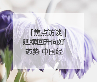 焦点访谈｜延续回升向好态势 中国经济展现韧性与活力