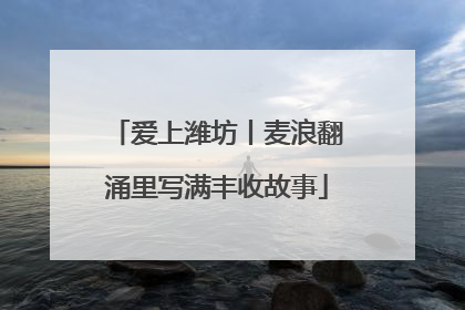 爱上潍坊丨麦浪翻涌里写满丰收故事