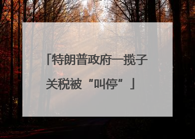 特朗普政府一揽子关税被“叫停”