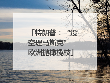 特朗普：“没空理马斯克” 欧洲抛橄榄枝