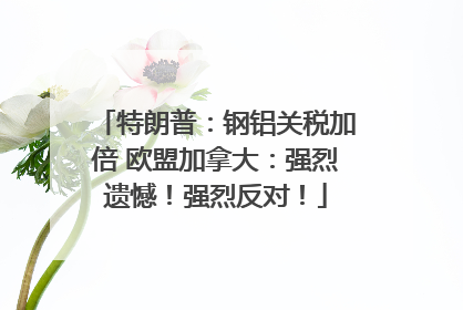 特朗普：钢铝关税加倍 欧盟加拿大：强烈遗憾！强烈反对！